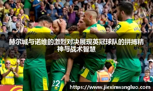 赫尔城与诺维的激烈对决展现英冠球队的拼搏精神与战术智慧